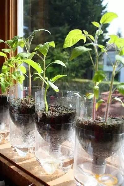自制便攜收納盒,你家閑置的飲料瓶還能做這些？！