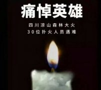 陽(yáng)光甚好，是有人為我們擋住了黑暗...