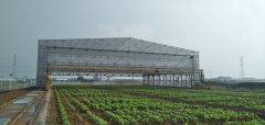 3.12植樹節(jié)，人人參與—靖起起重機生產(chǎn)廠家